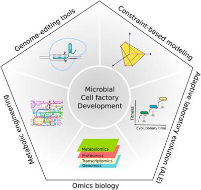 Editorial: Genomic strategies for efficient microbial cell factories